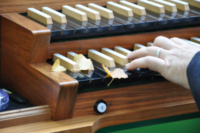 Spencerhill Organist